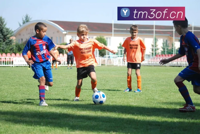 世界杯官网平台APP 体育赛事宣传图